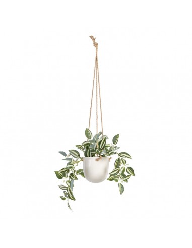 Decoratieve plant 24 x 35 x 25 cm Wit...