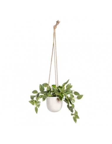 Decoratieve plant 33 x 33 x 24 cm Wit...