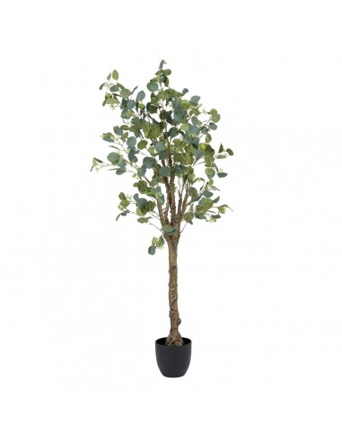 Decoratieve plant 78 x 68 x 150 cm...