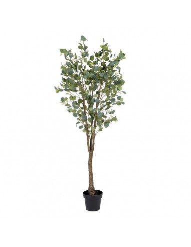 Decoratieve plant 80 x 75 x 173 cm...