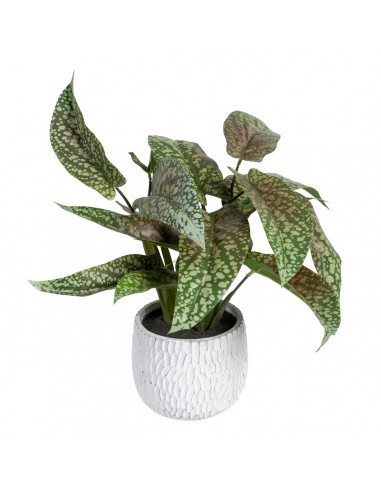 Decoratieve plant Groen PVC 52 x 44 x...