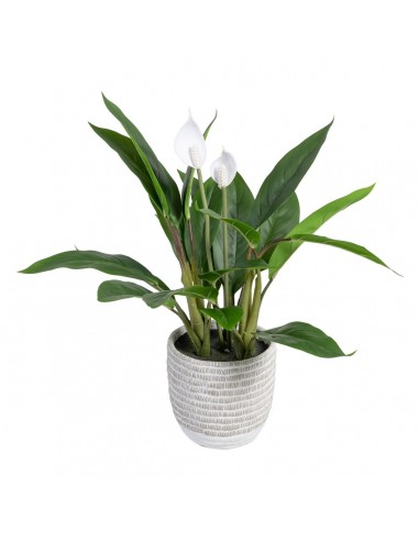 Decoratieve plant 40 x 41 x 48 cm...