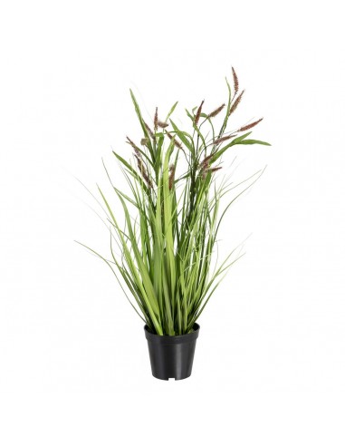 Decoratieve plant 45 x 40 x 74 cm...