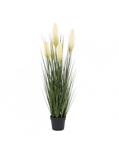 Decorative Plant 45 x 37 x 100 cm...