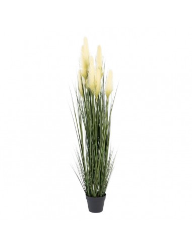 Decoratieve plant 57 x 53 x 150 cm...