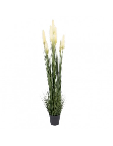 Decoratieve plant 44 x 48 x 200 cm...