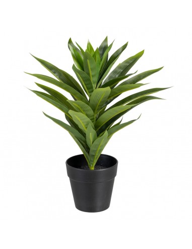 Decorative Plant Green PVC Iris