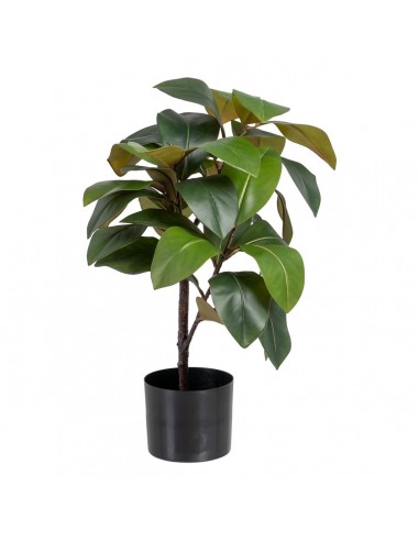 Decoratieve plant 45 x 47 x 64 cm...