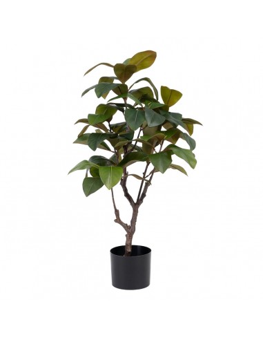 Decorative Plant 67 x 62 x 100 cm...