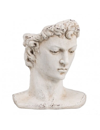 Sculpture David 28 x 22 x 33 cm Resin