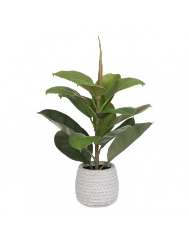 Decorative Plant Green PVC Oak 58 cm