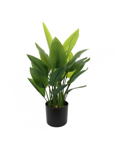 Decoratieve plant 40 x 30 x 70 cm...