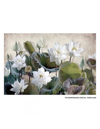 Canvas Waterlily 120 x 4 x 80 cm