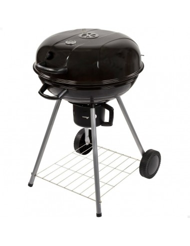 Barbecue a Carboni con Ruote Aktive...