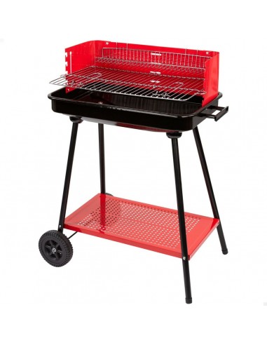 Barbecue a Carboni con Ruote Aktive...