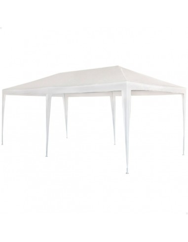 Gazebo Aktive 300 x 255 x 600 cm...