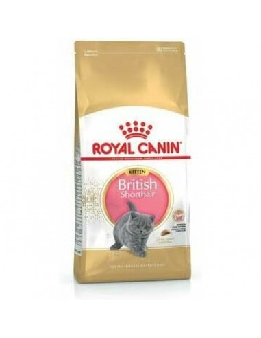 Katzenfutter Royal Canin