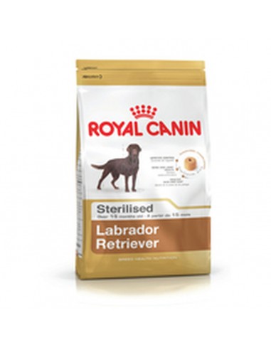 Hundefutter Royal Canin Labrador...