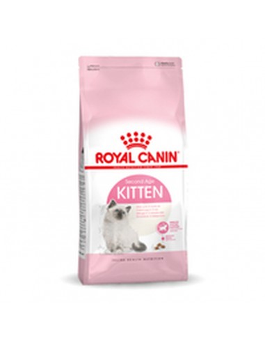 Aliments pour chat Royal Canin Kitten