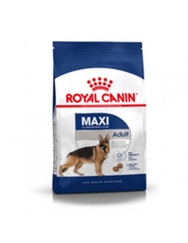 Fodder Royal Canin Maxi Adult 15 kg