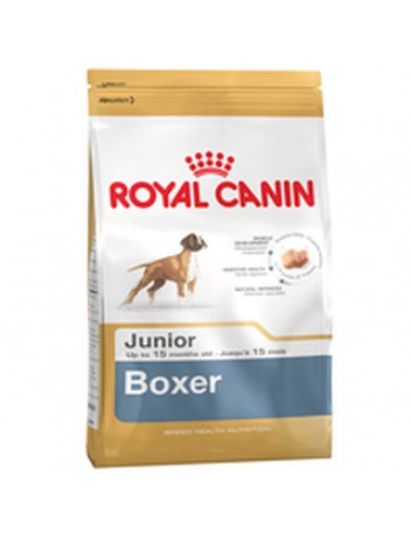 Hundefutter Royal Canin Boxer Junior...