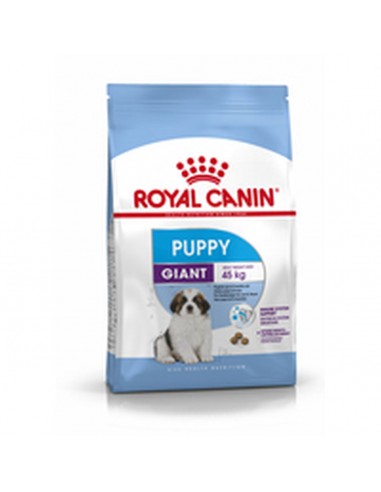 Fodder Royal Canin Puppy Giant 15 kg