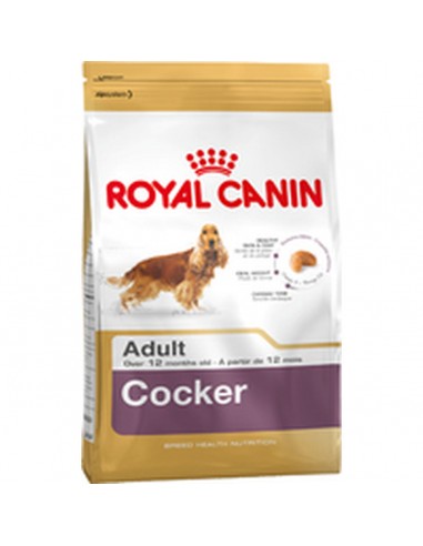 Fodder Royal Canin Cocker Adult 12 kg