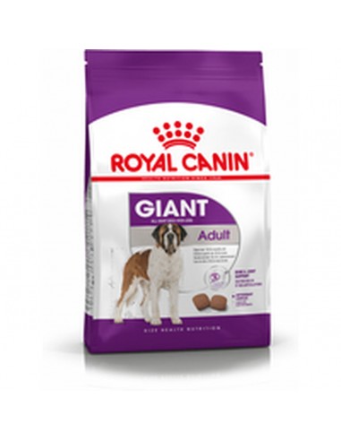 Voer Royal Canin Giant Adult 15 kg