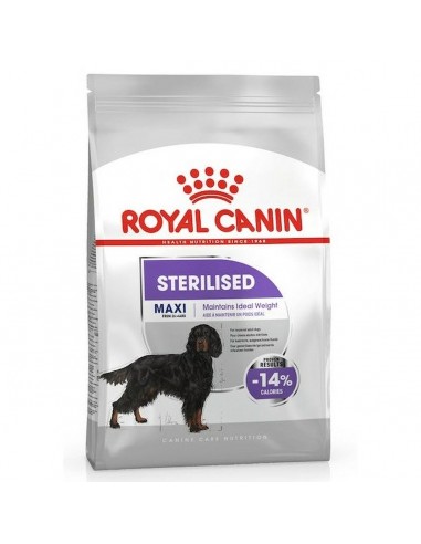 Fodder Royal Canin 12 kg