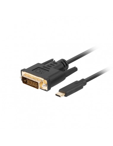 Cavo USB C con DVI-D Lanberg...