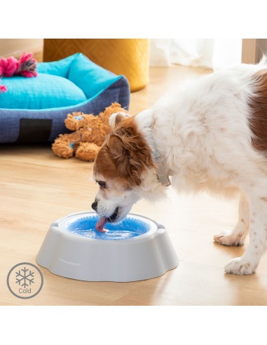 Cooling Pet Water Bowl Freshty...