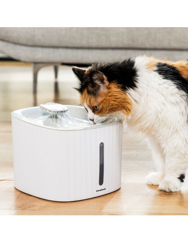 Pet Water Fountain Drinkatt InnovaGoods