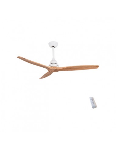 Ceiling Fan Cecotec EnergySilence...