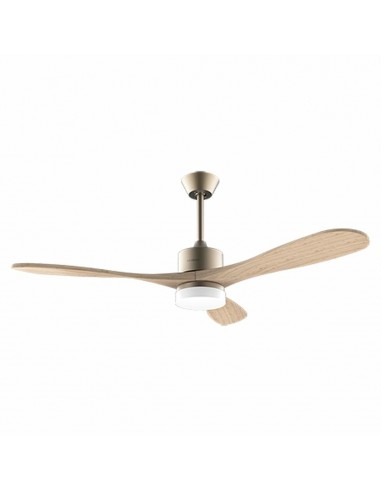 Ceiling Fan Cecotec EnergySilence...