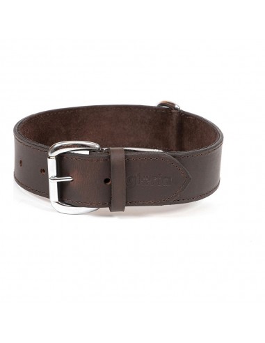 Collier pour Chien Gloria Marron 65...