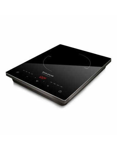 Induction Hot Plate Taurus DARTFIRE...