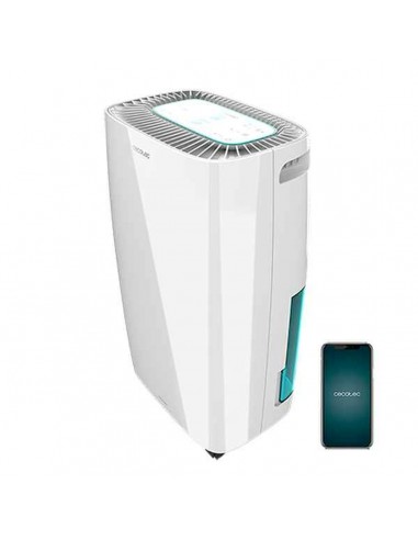 Dehumidifier Cecotec BigDry 4000...