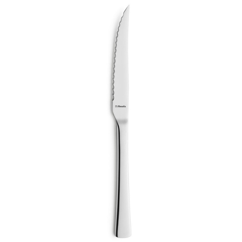 Meat Knife Set Amefa Atlantic Metal...