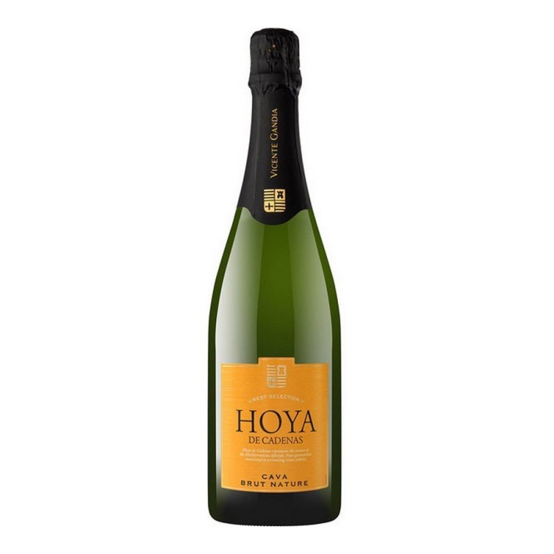 Vin mousseux Hoya de Cadenas Brut...