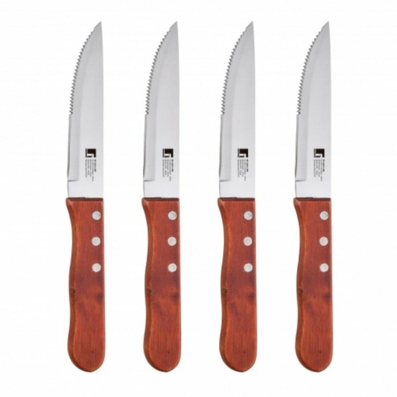 Messerset Bergner BBQ Edelstahl (4 pcs)