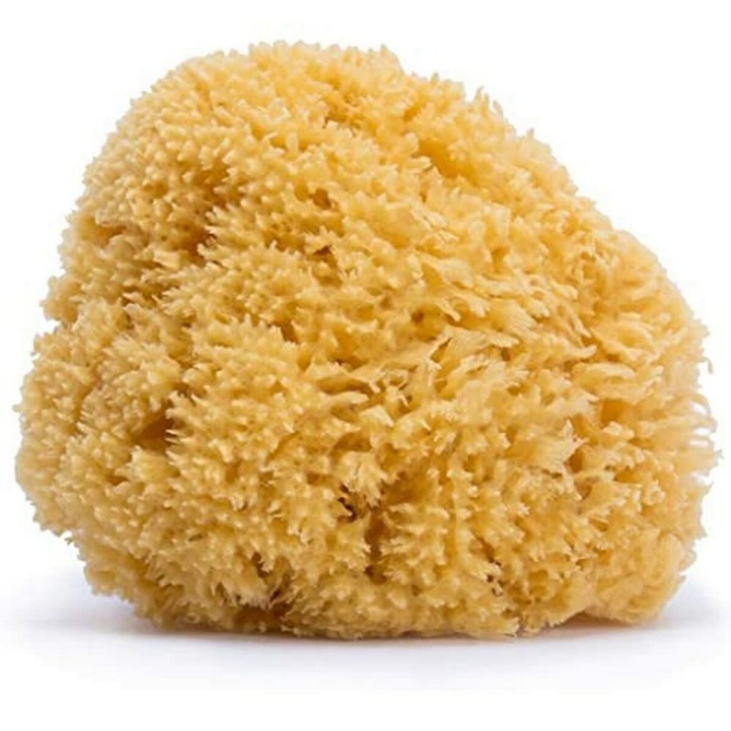 Sponge Suavinex Natural Fibre