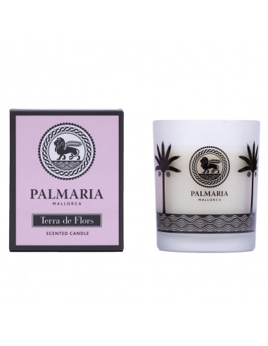 Scented Candle Palmaria Terra de...