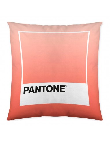 Cushion cover Ombre B Reversible (50...