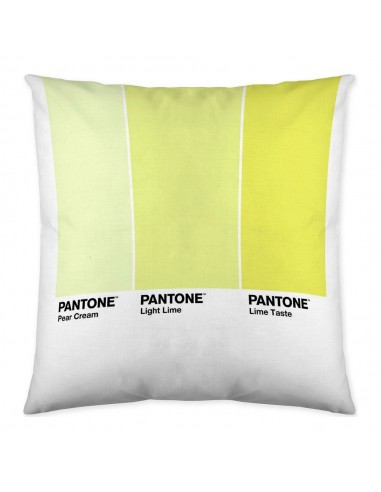 Cushion cover Ombre C Reversible (50...