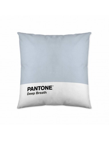 Kissenbezug Deep Breath Pantone (50 x...