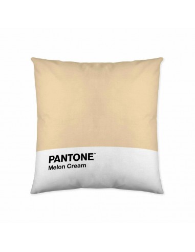 Housse de coussin Melon Cream Pantone...