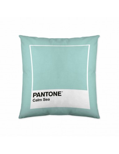 Kissenbezug Calm Sea Pantone (50 x 50...