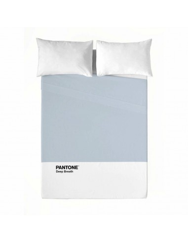 Lenzuolo Superiore Pantone Deep...