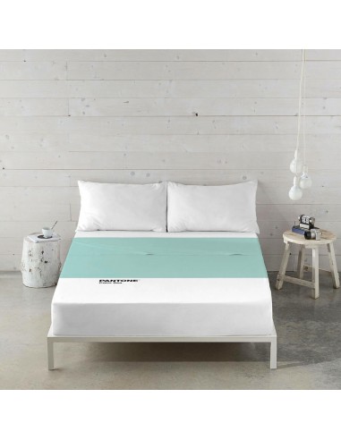 Bovenblad Pantone Calm Sea (Bed van 135)