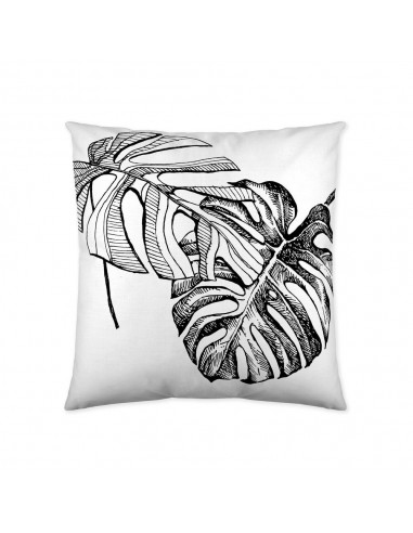 Cushion cover Icehome (60 x 60 cm)